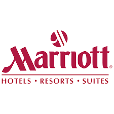 Palm Trees At Marriott Resort and Hotels