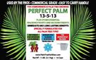 Click Here To View This Palm Tree Item Picture Full Size - Palm Trees In Houston Texas